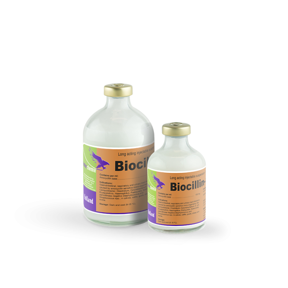 Biocillin-150 LA (100ml) / مضاد حيوي اموكسلين