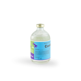 Castralgin ( 100ml ) / مضاد التهابات و مسكن ألم و خافض حرارة
