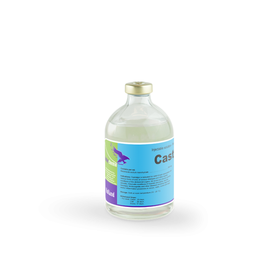 Castralgin ( 100ml ) / مضاد التهابات و مسكن ألم و خافض حرارة