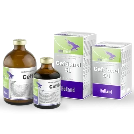 Ceftionel-50 (100ml) /  مضاد حيوي للألتهابات الرحمية