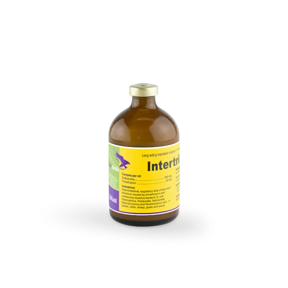⁦Intertrim LA intercheme مضاد حيوي للاسهال و النزلات المعوية (100ml)⁩ - الصورة ⁦2⁩
