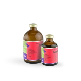 Introvit  (100ml) / فيتامينات