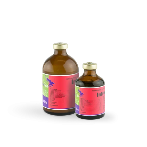 Introvit  (100ml) / فيتامينات