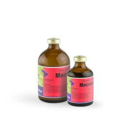 macrolan 200 (100ml) / مضاد الالتهاب الرئوي التنفسي و المعوي