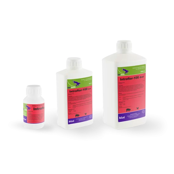 Introflor-100 Oral (1000ml) / مضاد حيوي تنفسي