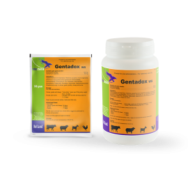(Gentadox WS (1kg /مضاد حيوي دوكسين مع جنتاميسين