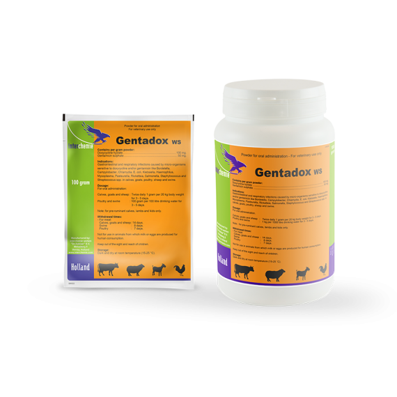 (Gentadox WS (1kg /مضاد حيوي دوكسين مع جنتاميسين