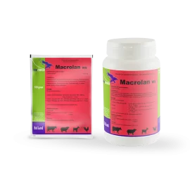 macrolan ws (100mg) / مضاد الالتهاب الرئوي التنفسي و المعوي
