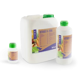 Introvit A+ Oral (1000ml) / مجموعة فيتامينات و احماض امينية العضوية