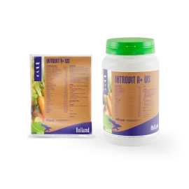 Introvit A+ WS (1Kg)/ مجموعة فيتامينات و احماض امينية عضوية