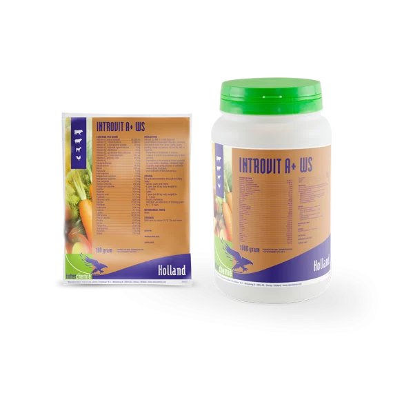 Introvit A+ WS (1Kg)/ مجموعة فيتامينات و احماض امينية عضوية